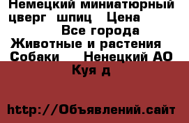 Немецкий миниатюрный(цверг) шпиц › Цена ­ 50 000 - Все города Животные и растения » Собаки   . Ненецкий АО,Куя д.